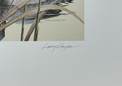 1981 TEXAS - State Duck Stamp Print **LARRY HAYDEN** with STAMP! - Picture 4 of 6