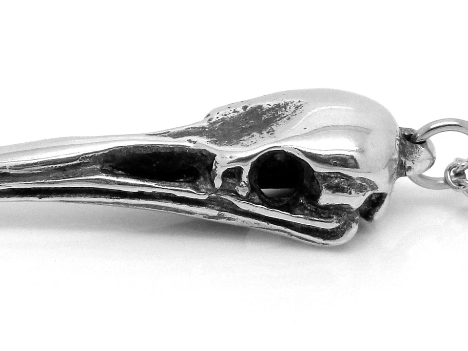 Collar con dije de calavera de kiwi, colgante hecho a mano sin plomo peltre pájaro calavera joyería Foto 3 de 4