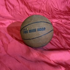 sklz pro mini basketball