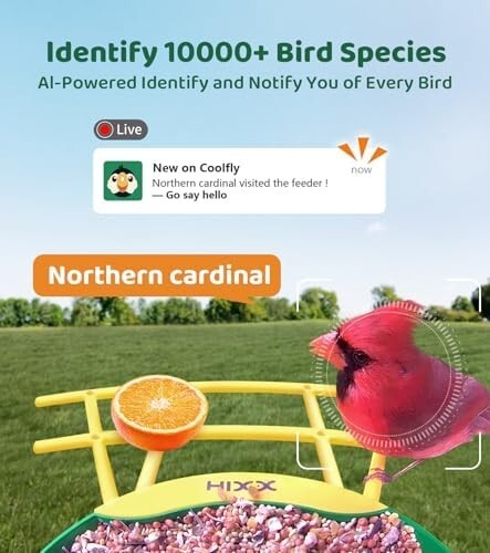 NEW HIXX Bird Feeder - Camera Solar Power, AI Identify, Arrival Alerts - Green - Picture 7 of 8