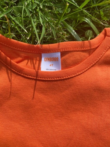 NWT Gymboree Toddler Girls Embroidered Halloween Layered Top (3T & 4T) - Picture 9 of 11