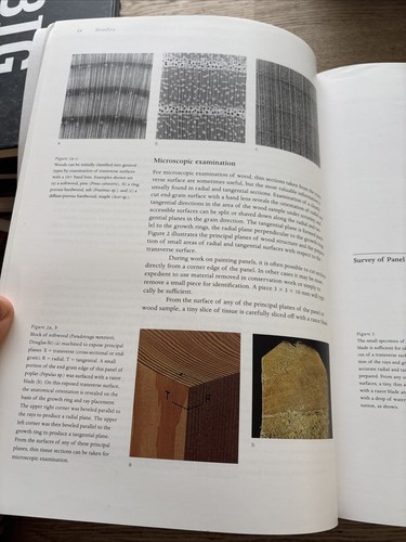 The Structural Conservation of Panel Paintings - Proceedings of a Symposium... - Picture 11 of 13