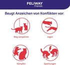 Bild 3 von 7