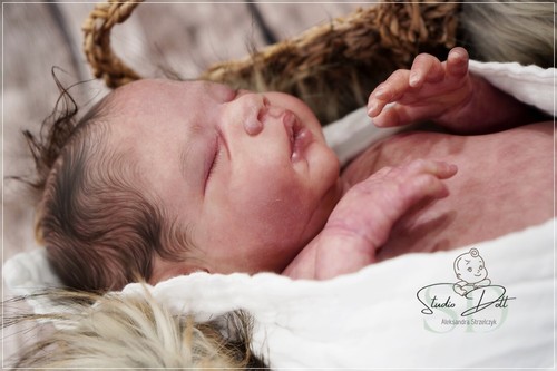 Studio-Doll Baby BOY reborn Alessandro by Cassie Brace love 20 inch - Picture 3 of 24