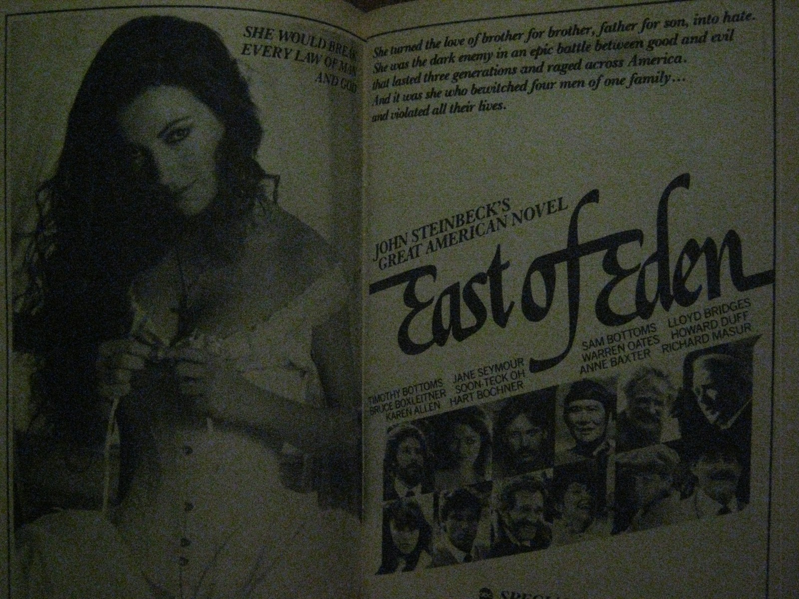 Picture 5 of 11