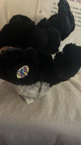 Gorilla Webkinz - Picture 6 of 6