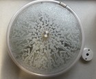 1960s/70s Flush Mounted Ceiling Light.  Textured Glass Diffuser (see Comments)