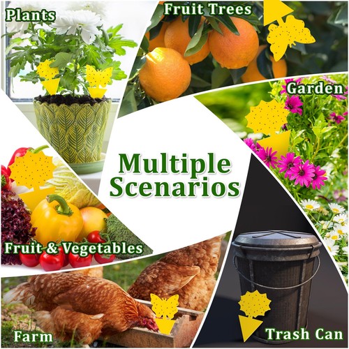 48PCS Fruit Fly Traps Fungus Gnat Indoor Outdoor Sticky Bug Insects Plants Traps - Picture 8 of 9