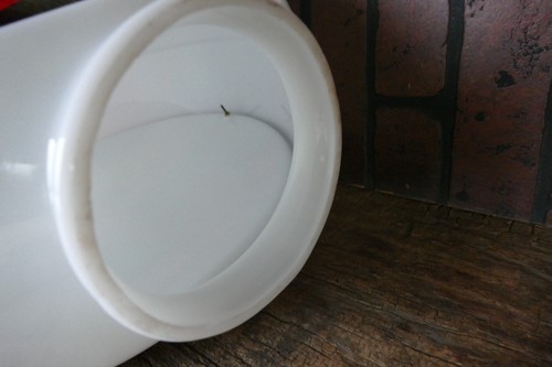 Vintage 1984 Texaco Sky Chief gas pump globe milk glass - Picture 4 of 5