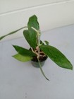 Picture 11 of 24