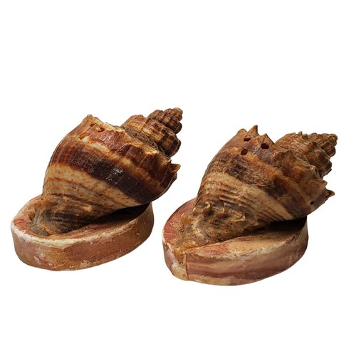 Salero y pimentero Seashell recuerdo vintage de Corpus Christi TX - Imagen 5 de 7