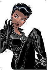 CATWOMAN VOL. 1: TRAIL OF THE CATWOMAN By Darwyn Cooke & Ed Brubaker *Excellent*