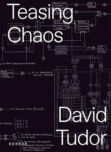 Teasing Chaos By Sadowsky, Thorsten