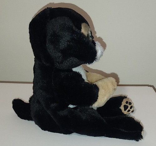 Ty Beanie Baby Bellies - RANGER the Dog (6 Inch) NEW MWMTs Stuffed Animal Toy - Picture 6 of 7