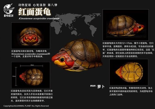 Animal Planet A Series Of Laugh And Grow Fat No.8 Turtles Pack Of 8 Figures - Picture 7 of 12