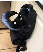 theodore bean baby carrier
