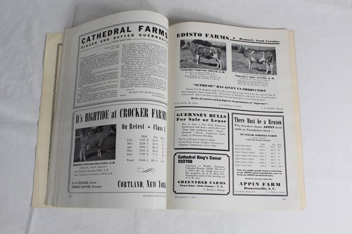 Guernsey Breeders Journal August 1, 1941 Cow Calf Bull Farms Cattle Dairy Ads - Imagen 19 de 22