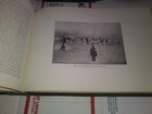 Picture 8 of 12