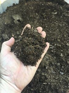 Dried Cow Manure 200g Organic Compost Fertilizer 100/% Plant Growth Microorganism