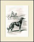 Saluki Lovely Dog Sketch Print Mounted Ready To Frame