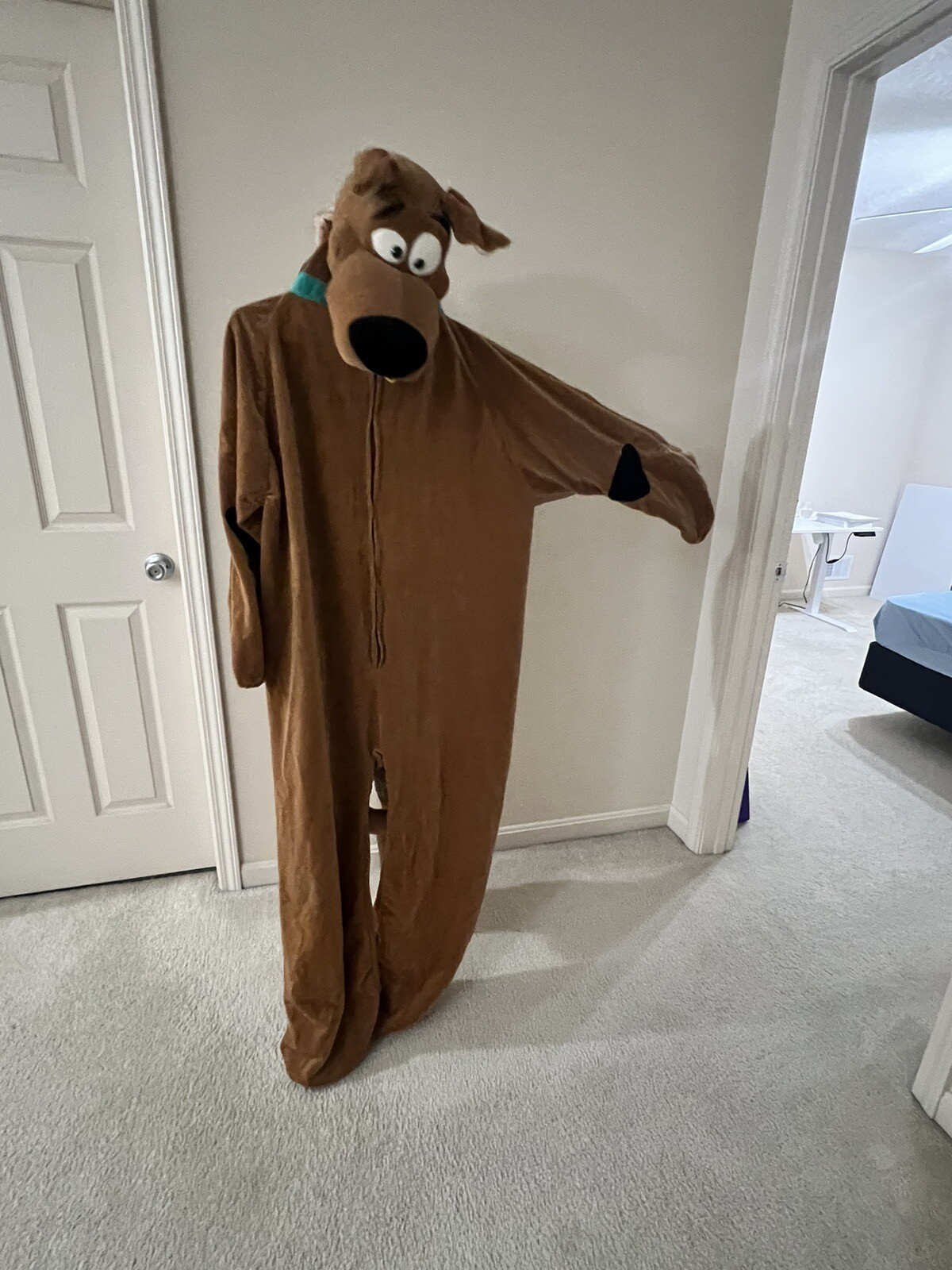Picture 4 of 4