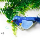 Foto 7 di 28