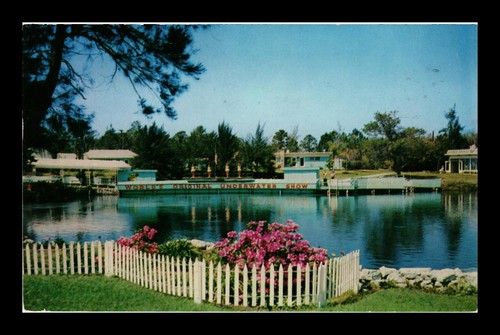 WEEKI WASCHEE SPRING OF THE MERMAIDS FLORIDA POSTCARD