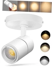  3-Color Zoomable LED Ceiling Spotlight Flush Mount Adjustable 20W White