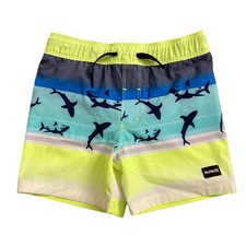 Hurley Boy's 4 Way Stretch UPF 50 Drawstring Waist Swim Short Volt, 4 
