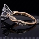 Foto 12 di 20
