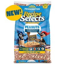 Pennington Shelled Peanuts Wildlife and Wild Bird Food, 5 lb. Bag, 1 Pack, Dry