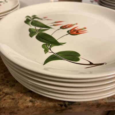 SET OF 7 Vtg 1950s Salem China PRIMROSE Red Flower Dinner Plates 10 