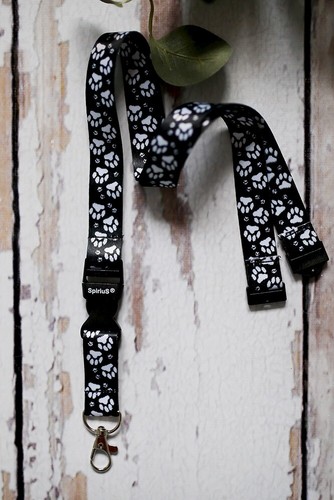 Sports Anti-lost Universal mobile phone Holder Neck Lanyard Strap SpiriuS - 第 215/300 張圖片