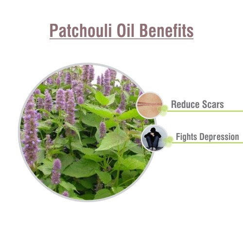 Patchouli (Pogostemon cablin) 100% Pure & Natural Essential Oil | 10ml-5000ml. - Picture 3 of 16