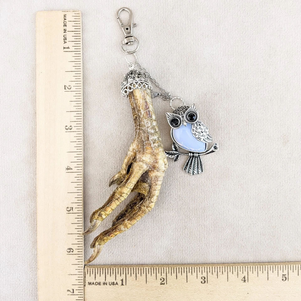 Gancho pie de pollo y búho ópalo búho encanto talismán taxidermia accesorio regalo Foto 4 de 4