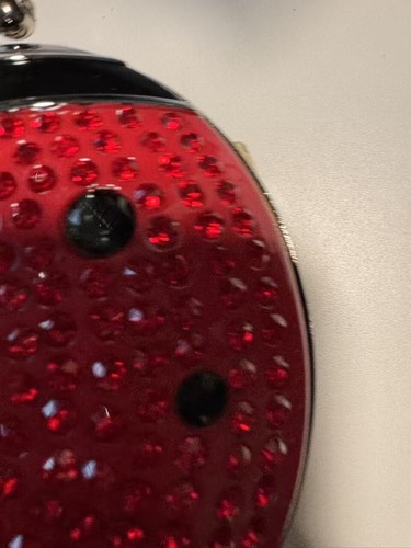 NWT Kate Spade Lady Bug Bag Red Black Insect Rare Sequin Rhinestones LadyBug 🐞 - Picture 3 of 13