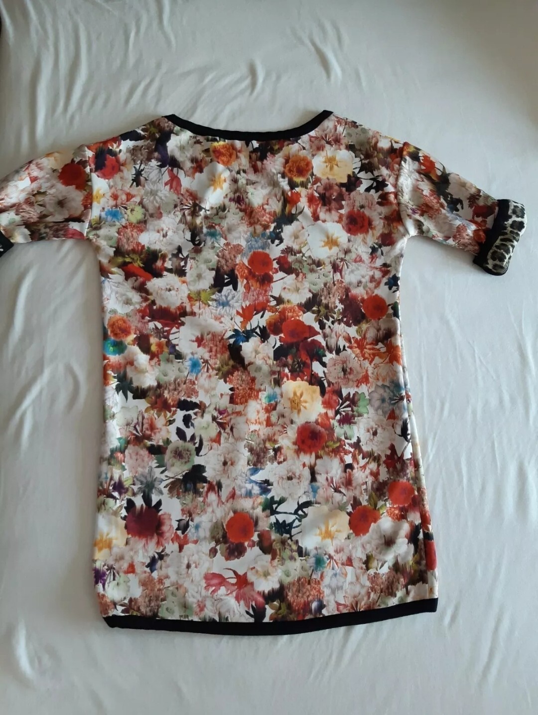 Foto 4 di 6