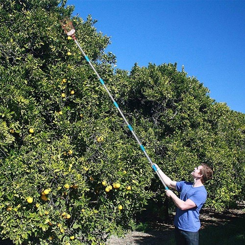 Fruit Picker Tool, Fruit Picker with Basket and Pole Easy to Assemble & Use F... - Picture 6 of 6