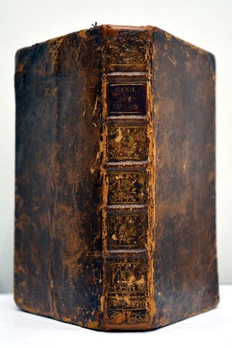 FERRY DE SAINT-CONSTANT (J.L.). Génie de M. de Buffon. 1778 - Picture 2 of 9