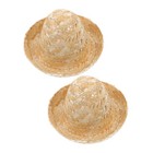  2 Pcs Kleiner Hutschmuck Mini Strohhut Winzige Hüte Für Handwerk