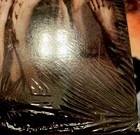 Foto 10 di 11