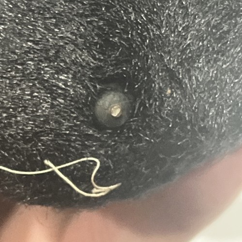 De Colección Cuerda Oso Negro Peludo Panal y Tocón de Árbol Más Abejas ¡Funciona! RARO DIFÍCIL DE ENCONTRAR - Imagen 15 de 21