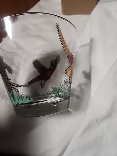 VTG. Hazel Atlas Glass Ice Bucket 5" Tall x 6" Rim to Rim Pheasant/Bird Design - Picture 3 of 6