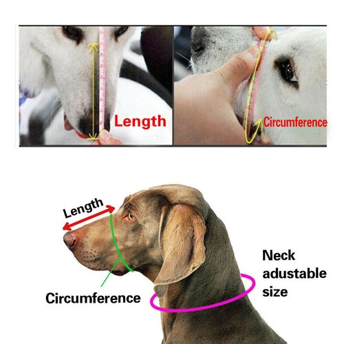 Máscara de malla ajustable para bozal de perro sin ladridos anti mordeduras masticar mascotas gatos - Imagen 4 de 13