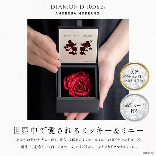 AMOROSA Preserved Flower Diamond Rose Box Disney " HAPPY ANNIVERSARY " - Picture 2 of 6