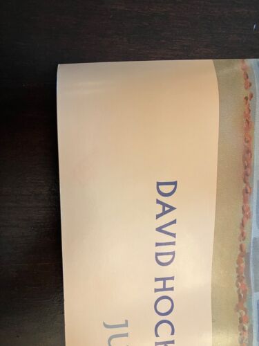 David Hockney Two Deck Chairs Metropolitan Museum Of Art Lithograph - Picture 6 of 7