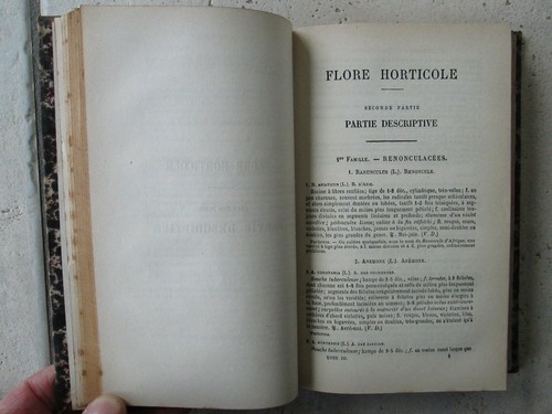 CARIOT : ETUDE DES FLEURS, 1884. - Bild 5 von 12