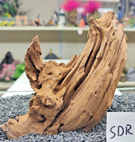 Small driftwood  bogwood wood for nano aquariums vivariums 12-25 cm