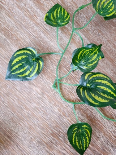 NUEVO 10x enredaderas artificiales 75' planta sintética total 7,5' cada enredadera Pothos verde falso - Imagen 3 de 6