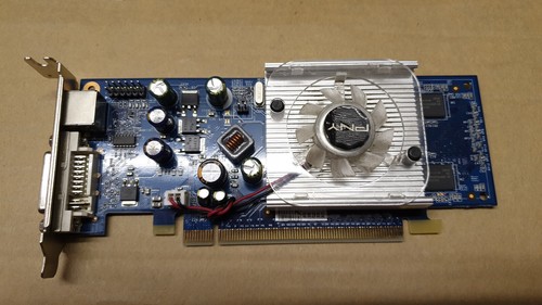 PNY Nvidia GeForce 8400 GS 256MB DDR2 PCI-E Low Profile Tested Working - Picture 1 of 2